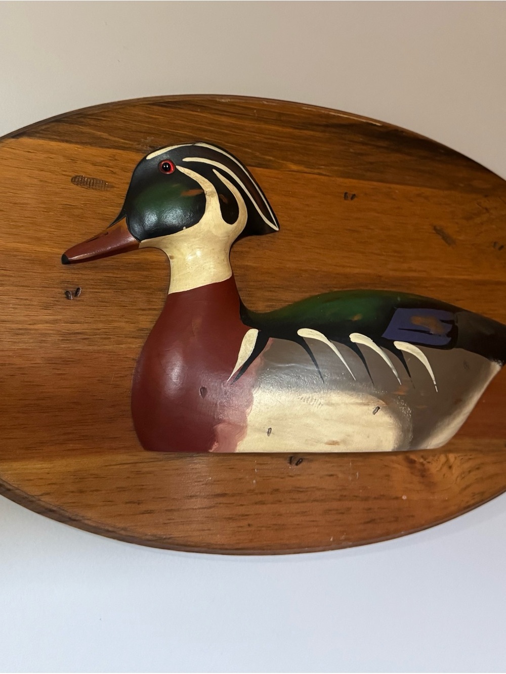 Hand-Painted Wood Duck Wall Accent in Green, Brown and Cream